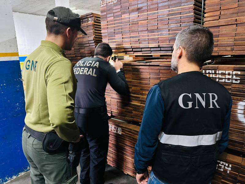 Successful Police Cooperation In Fight Against Illegal Timber Trade ...